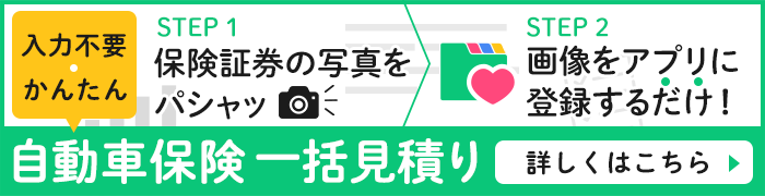 入力不要かんたん 自動車保険一括見積り詳しくはこちら