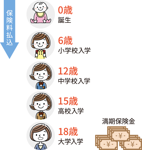 早めに保険料払込を終え、大学進学時に満期保険金を受け取る