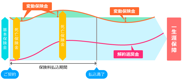 変額終身保険のイメージ