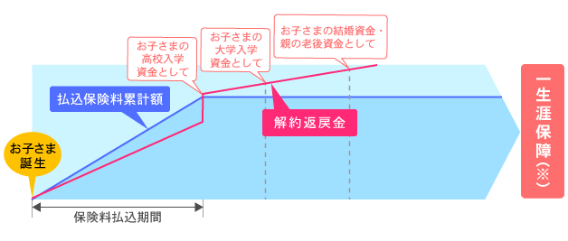 低解約返戻金型終身保険の解約返戻金の推移イメージ