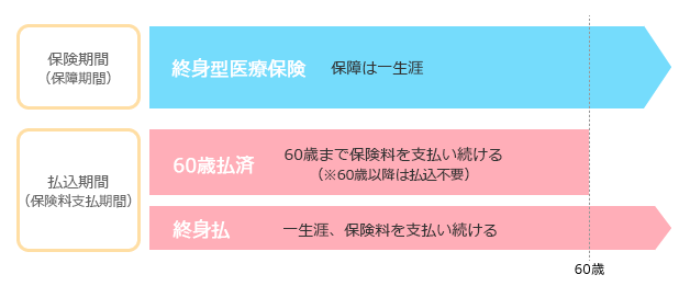 終身型医療保険の払込期間（60歳払済と終身払の場合）の図