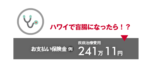 ハワイで盲腸になったら！？→お支払い保険金（例）疾病治療費用241万11円