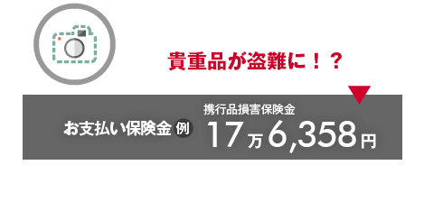 貴重品が盗難に！？→お支払い保険金（例）携行品損害保険金17万6,358円