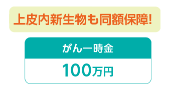 上皮内新生物も同額保障！