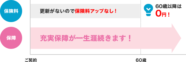 「60歳払済」の図