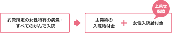 女性特有の病気とすべてのがんを特に手厚く保障