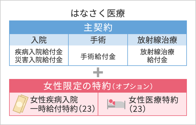 主契約+女性限定の特約（オプション）