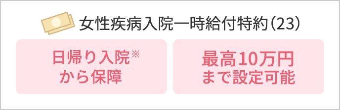 女性疾病入院一時給付特約(23)