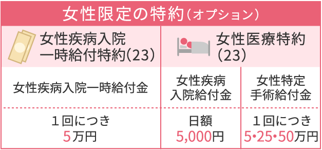 女性限定の特約(オプション)