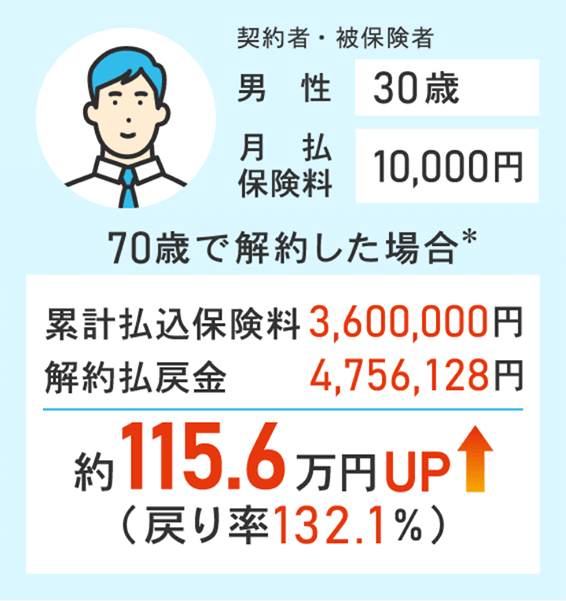 男性30歳の契約例