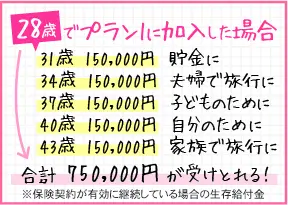 28歳でプラン1に加入した場合