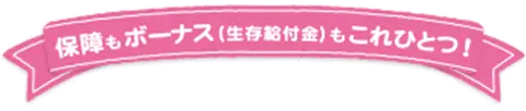 保障もボーナス（生存給付金）もこれひとつ！