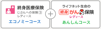 じぶんへの保険3レディース + ライフネット生命の終身がん保険レディース