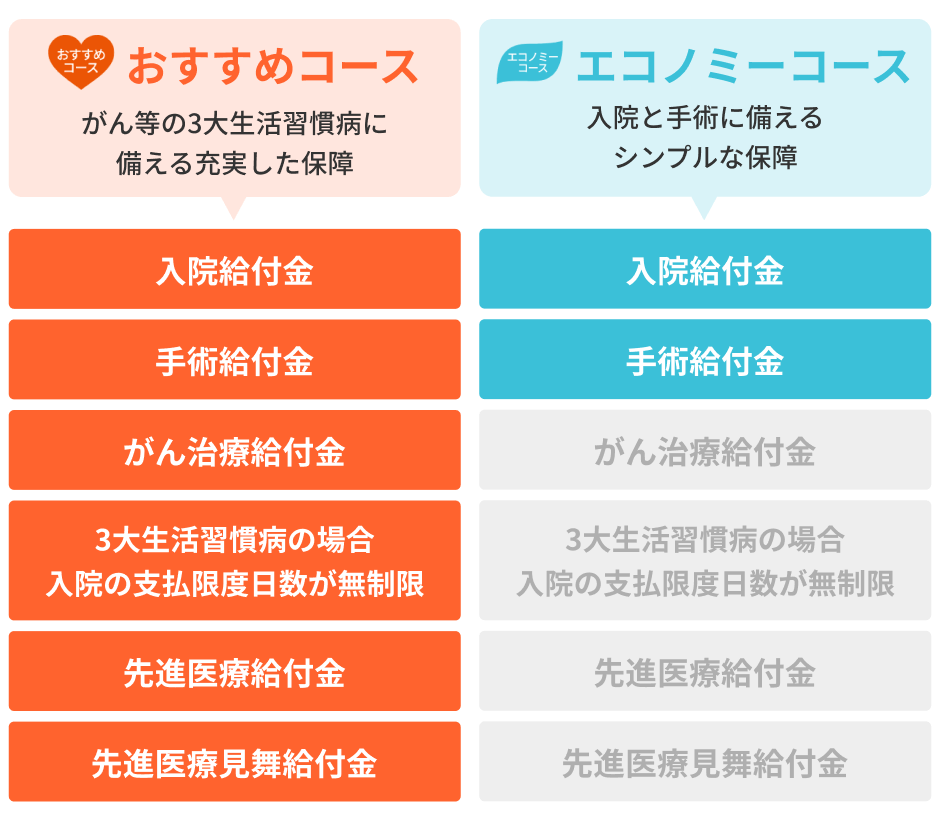 おすすめコース がん等の3大生活習慣病に備える充実した保障 エコノミーコース 入院と手術に備えるシンプルな保障
