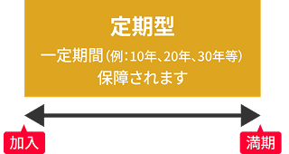 定期型：一定期間（例：10年、20年、30年等）保障されます