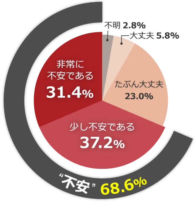 老後の生活資金に対する安心感・不安感のグラフ