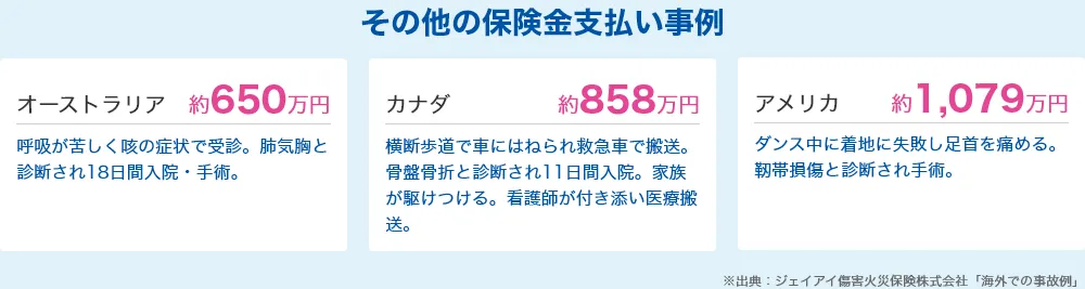 その他の保険金支払い事例 オーストラリア約650万円  カナダ約858万円 アメリカ約1,079万円