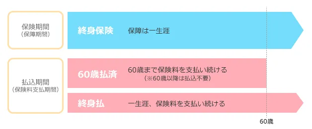 終身保険の払込期間（60歳払済と終身払の場合）の図