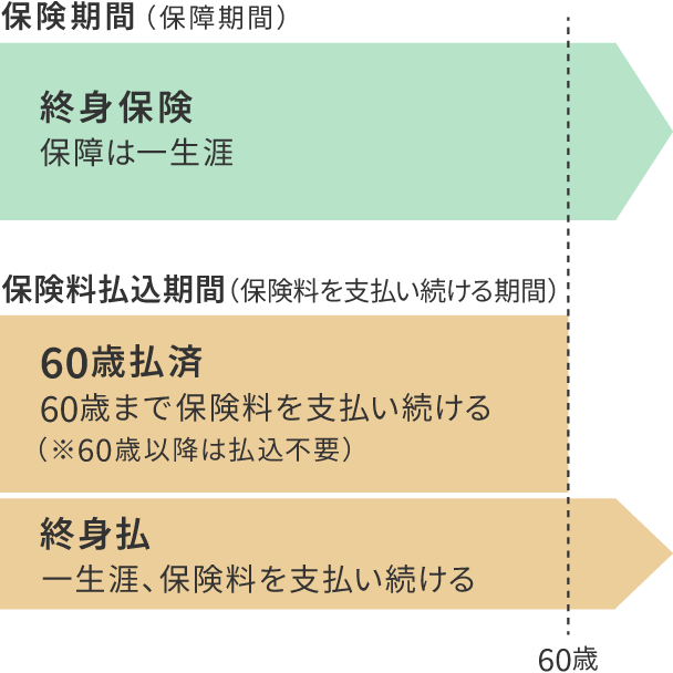 図 終身保険の保険料払込期間の違い（60歳払済と終身払の場合）の図