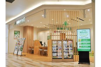 保険テラス モリーブ守山店