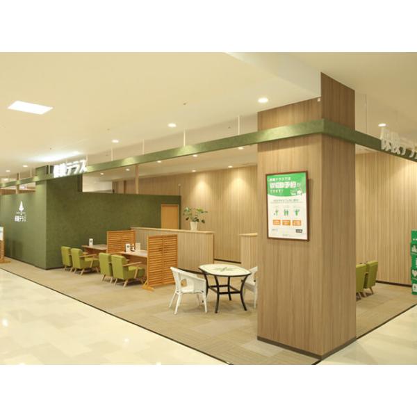 保険テラス 日永カヨー店の写真