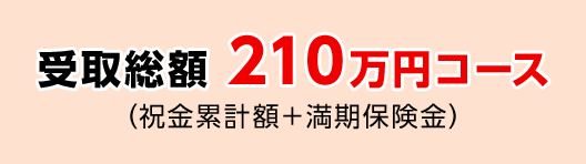 受取総額 210万円コース